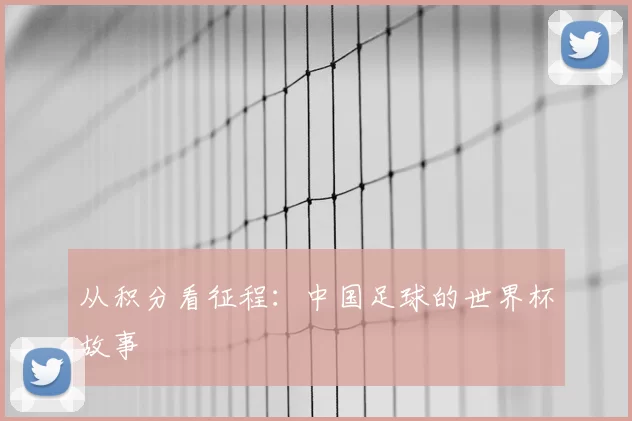 从积分看征程:中国足球的世界杯故事