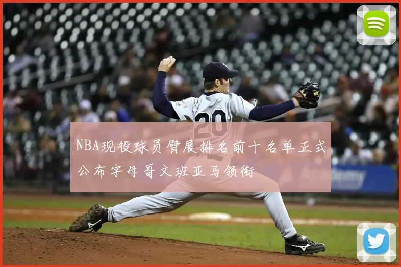 NBA现役球员臂展排名前十名单正式公布字母哥文班亚马领衔