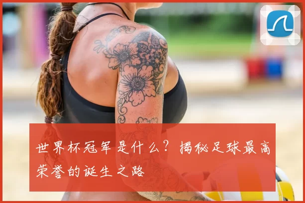 世界杯冠军是什么?揭秘足球最高荣誉的诞生之路