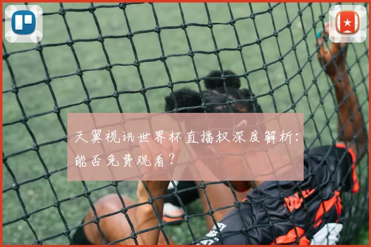 天翼视讯世界杯直播权深度解析：能否免费观看？
