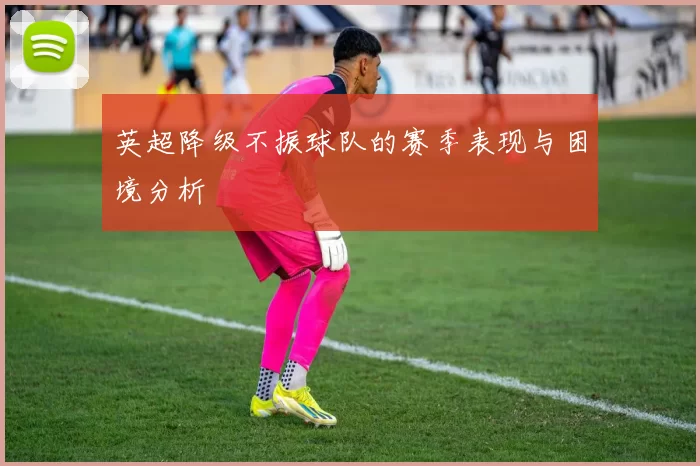 英超降级不振球队的赛季表现与困境分析