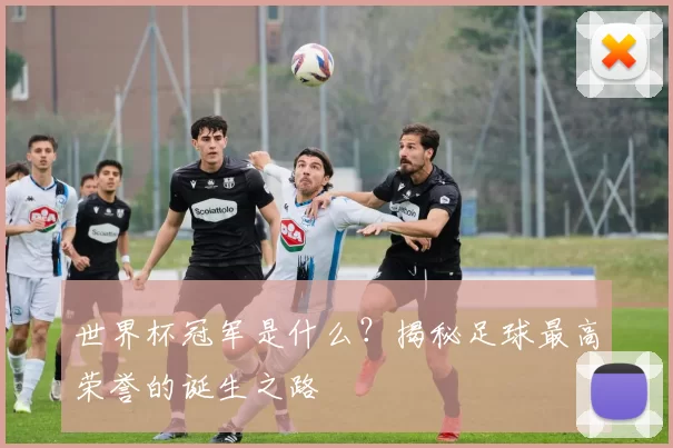 世界杯冠军是什么?揭秘足球最高荣誉的诞生之路