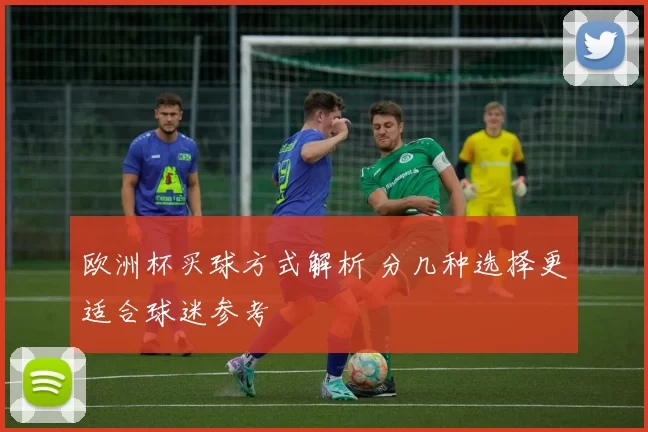 欧洲杯买球方式解析 分几种选择更适合球迷参考