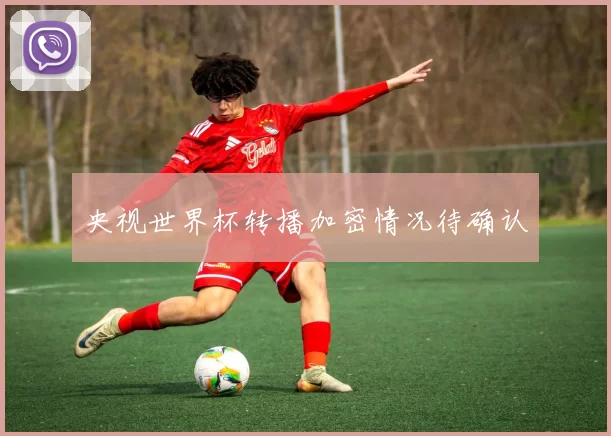 央视世界杯转播加密情况待确认