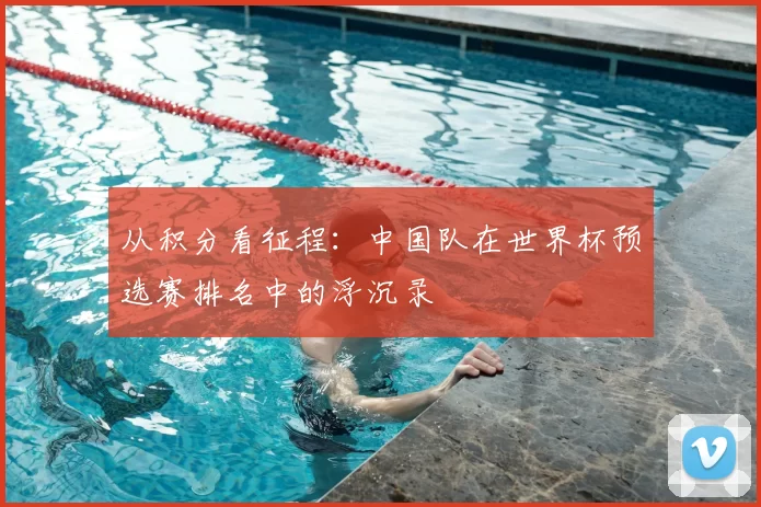从积分看征程：中国队在世界杯预选赛排名中的浮沉录