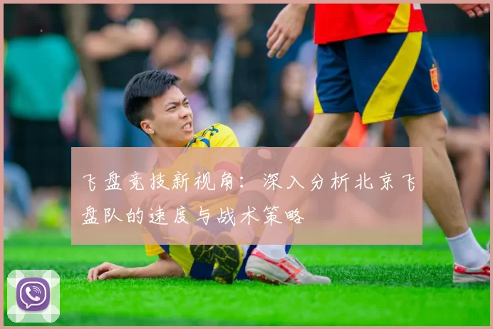 飞盘竞技新视角：深入分析北京飞盘队的速度与战术策略