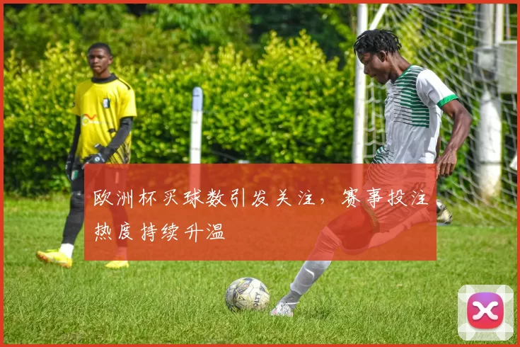 欧洲杯买球数引发关注，赛事投注热度持续升温