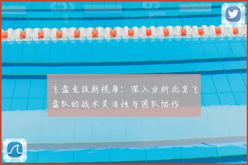 飞盘竞技新视角：深入分析北京飞盘队的战术灵活性与团队协作