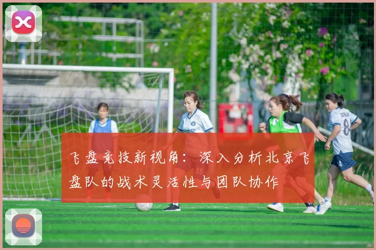 飞盘竞技新视角：深入分析北京飞盘队的战术灵活性与团队协作