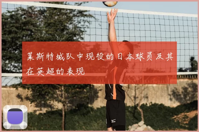 莱斯特城队中现役的日本球员及其在英超的表现
