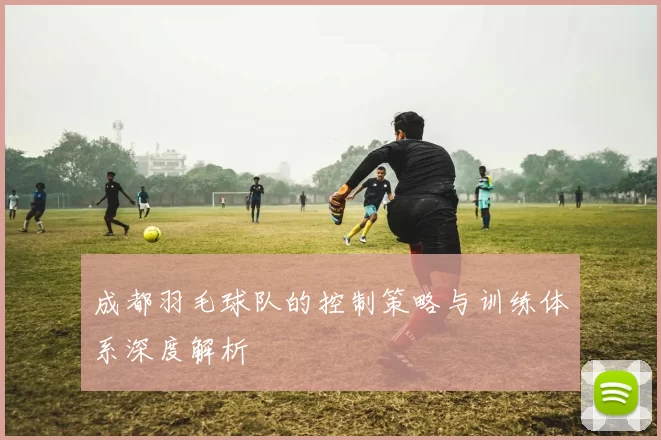 成都羽毛球队的控制策略与训练体系深度解析