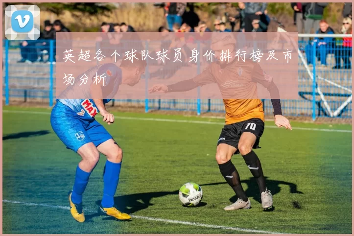 英超各个球队球员身价排行榜及市场分析