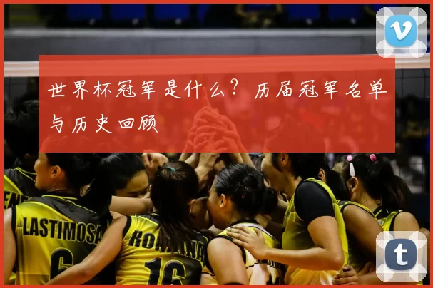 世界杯冠军是什么？历届冠军名单与历史回顾