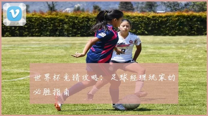 世界杯竞猜攻略:足球经理玩家的必胜指南